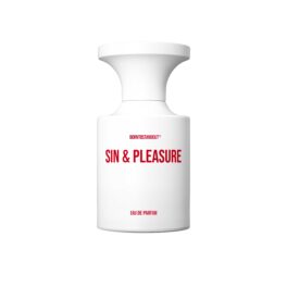 Sin-Pleasure