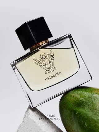 New Arrival!A sensorial tribute to Vietnam, Ha Long Bay captures the soul of the legendary bay through a rare sand mango (Xoài Cát), emblematic of the Hoa Loc province. More than a fragrance, it is an intimate evocation – a blend of memories and precious raw materials, revealed by a powerful and luminous trail. The mango, with facets of peach, banana, and apricot, is elevated by vibrant spices, soft leather, and an elegant woody base. A radiant and living fragrance by JOVOY, that evolves on the skin and leaves a lasting impression.📷 @tobiashoffmannn #crimepassionnel #nicheperfume #boutique #copenhagen #perfumeboutique #jovoyparis #jovoy #halongbay